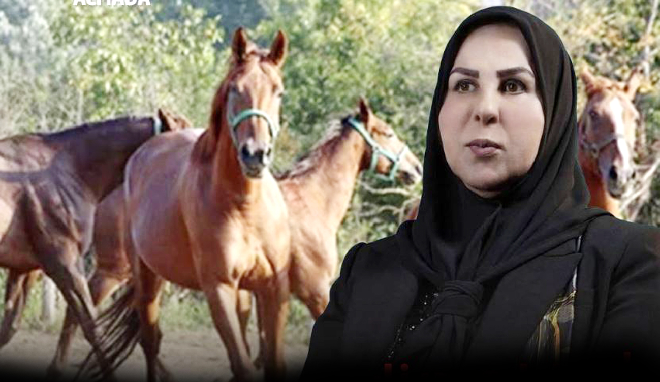 ذهب نجلة وخيول عالية